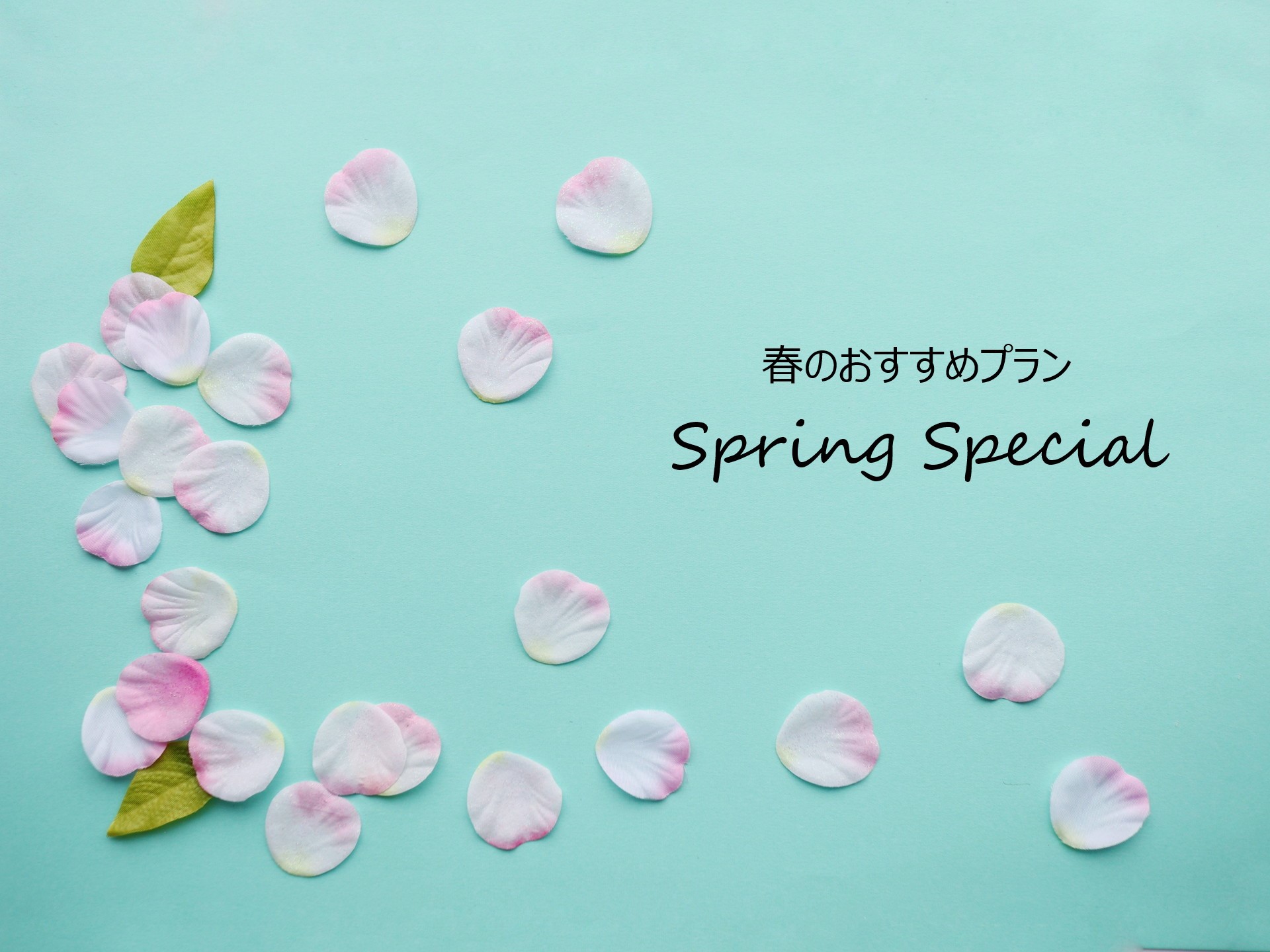 【季節割】春から初夏の期間販売『Spring Special』(食事なし)JR函館駅より徒歩1分