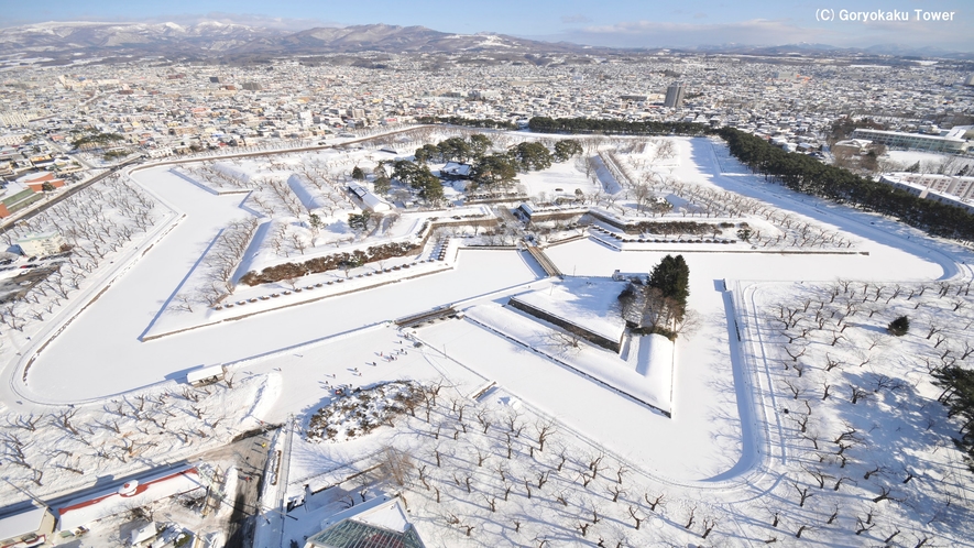 五稜郭タワーから見た五稜郭公園(冬)堀の水が凍りそのうえに雪が積り夜には幻想的な雰囲気を醸し出します