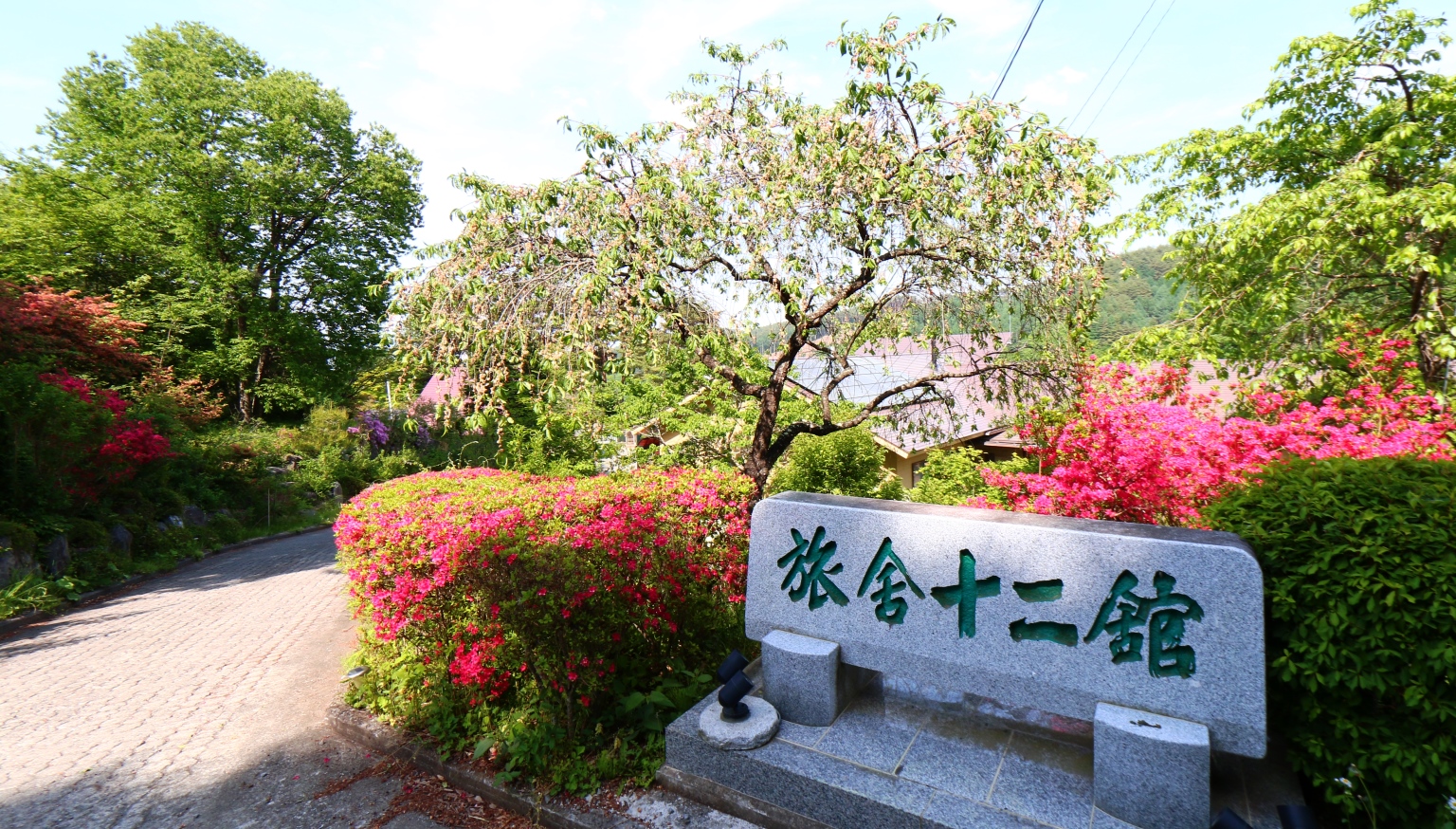 十二館 新館 写真・動画【楽天トラベル】