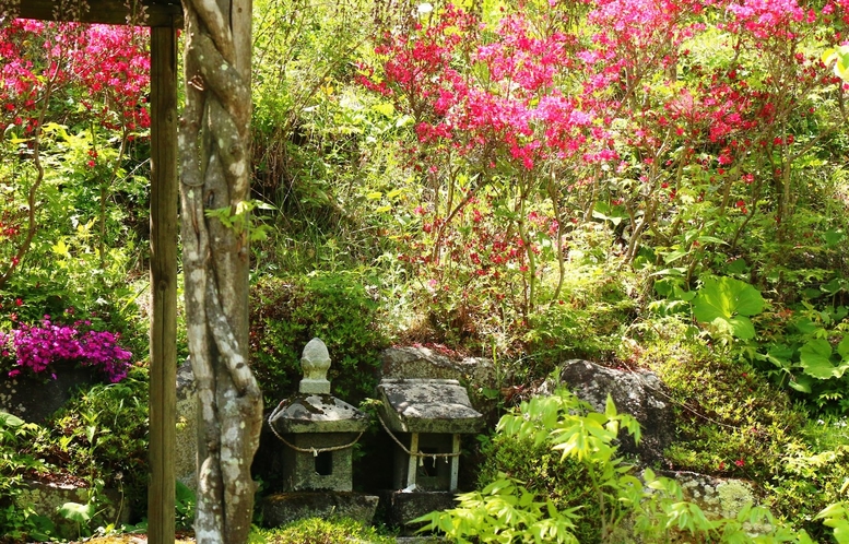 秘境、春日温泉ならではの自然の調和をお楽しみください