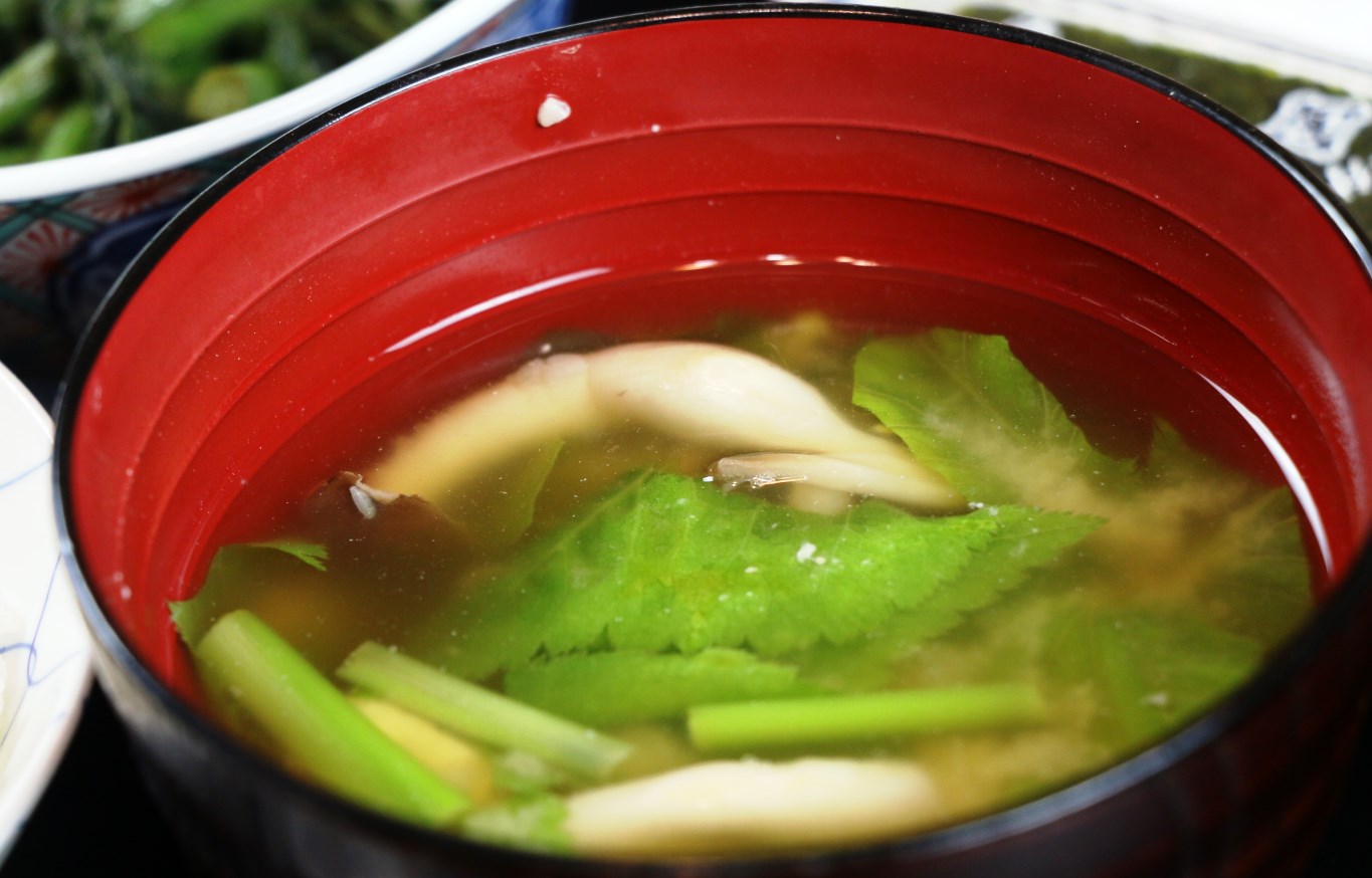 【朝食】信州味噌のお味噌汁