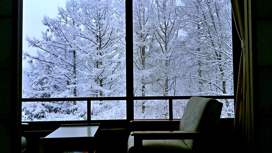 冬の客室からの眺め