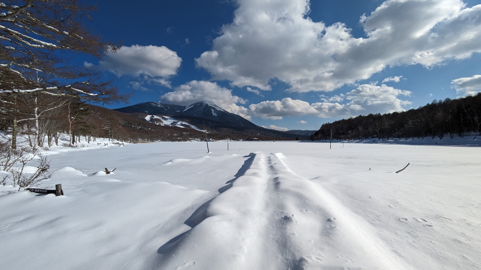 【3組限定の宿】白銀の女神湖と信州の美味しい食材を満喫するプラン　白樺高原スキー場徒歩２分!!