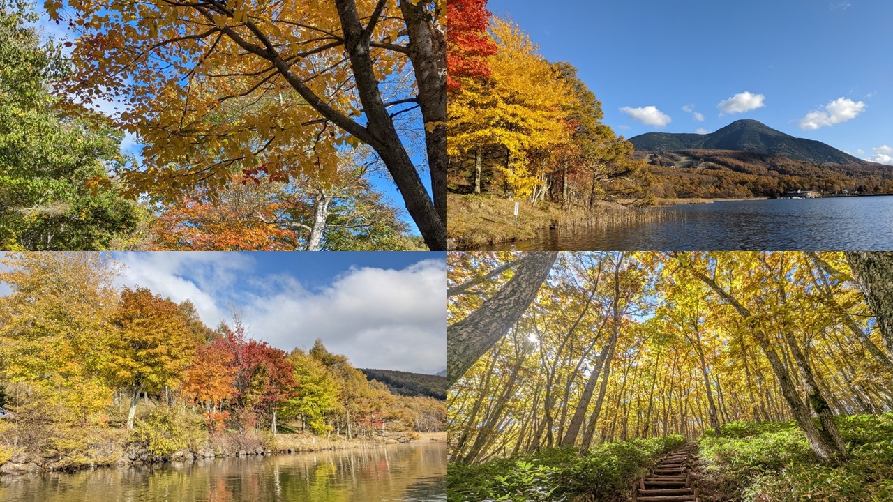 【秋のプラン】【3組限定の宿】紅葉の女神湖と信州の美味しい食材を満喫する大人の隠れ家プラン