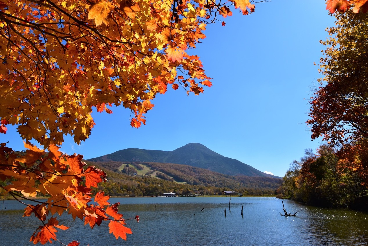 【３組限定の宿】紅葉の女神湖と信州の美味しい食材を満喫する大人の隠れ家プラン