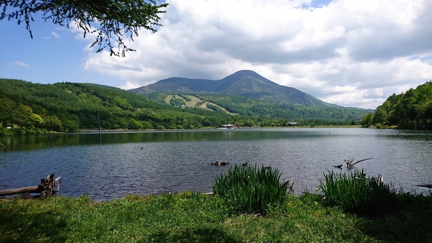 夏の女神湖と蓼科山