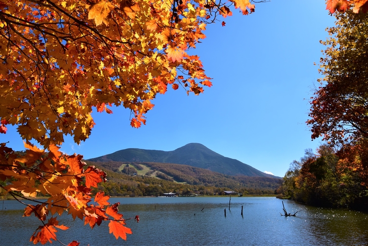 紅葉の女神湖・蓼科山