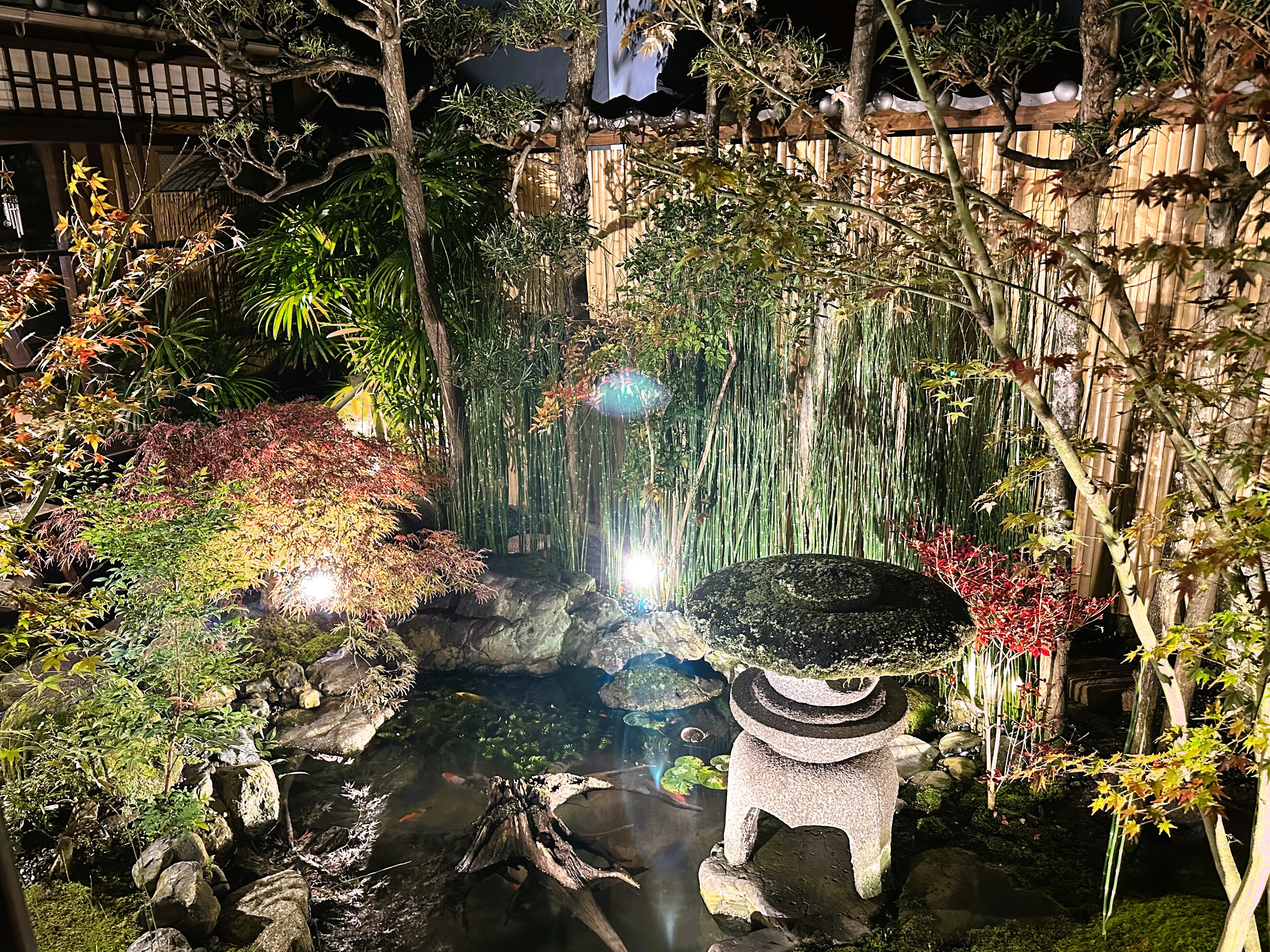 【苔庭・夜景】中庭池付近