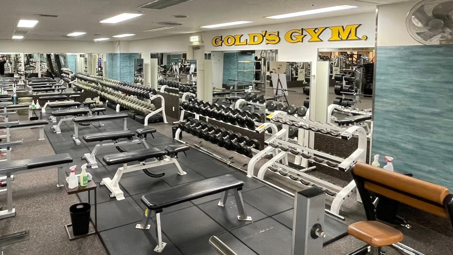 ゴールドジム マシンエリア