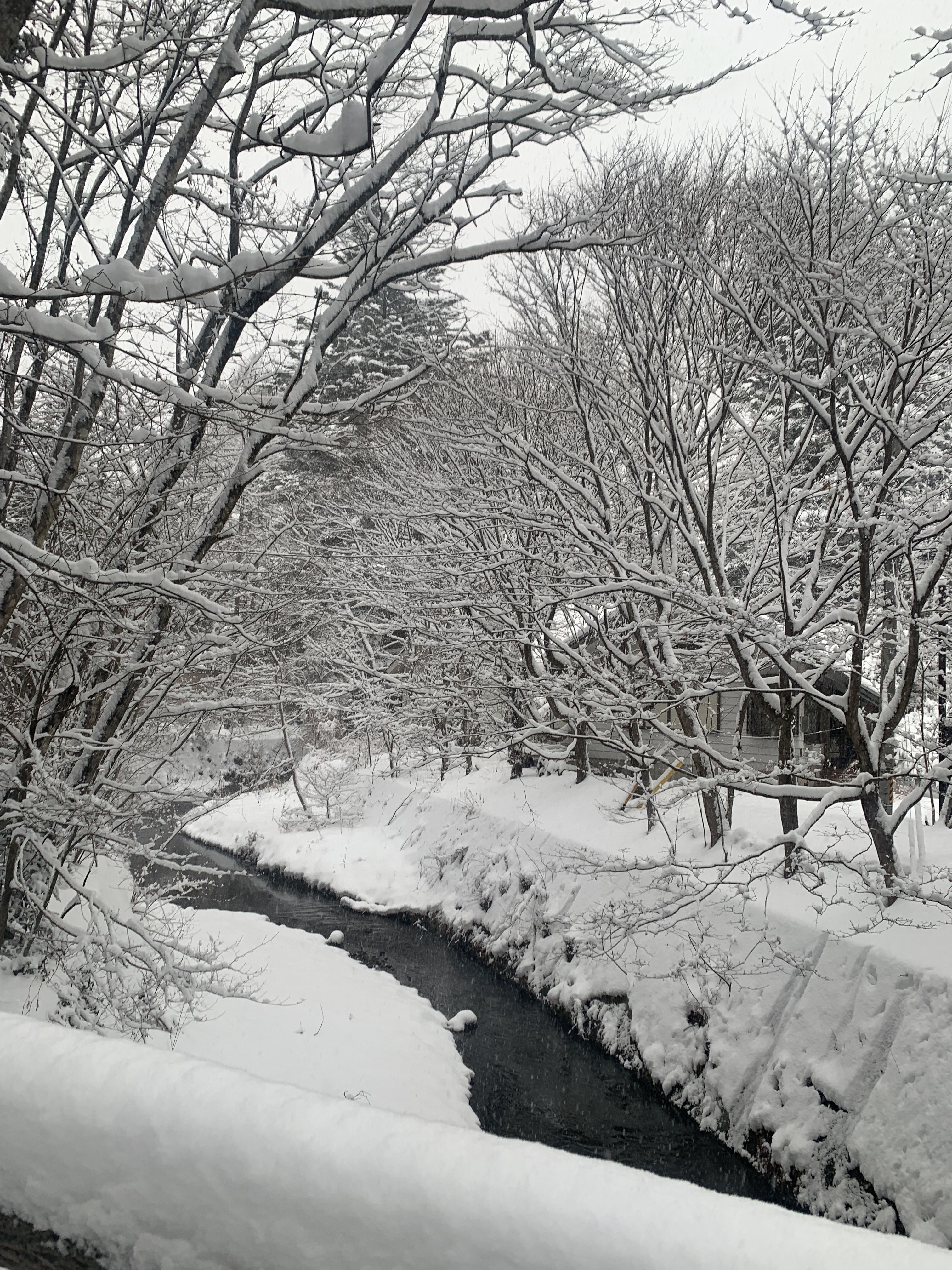 当ホテル近辺の景色