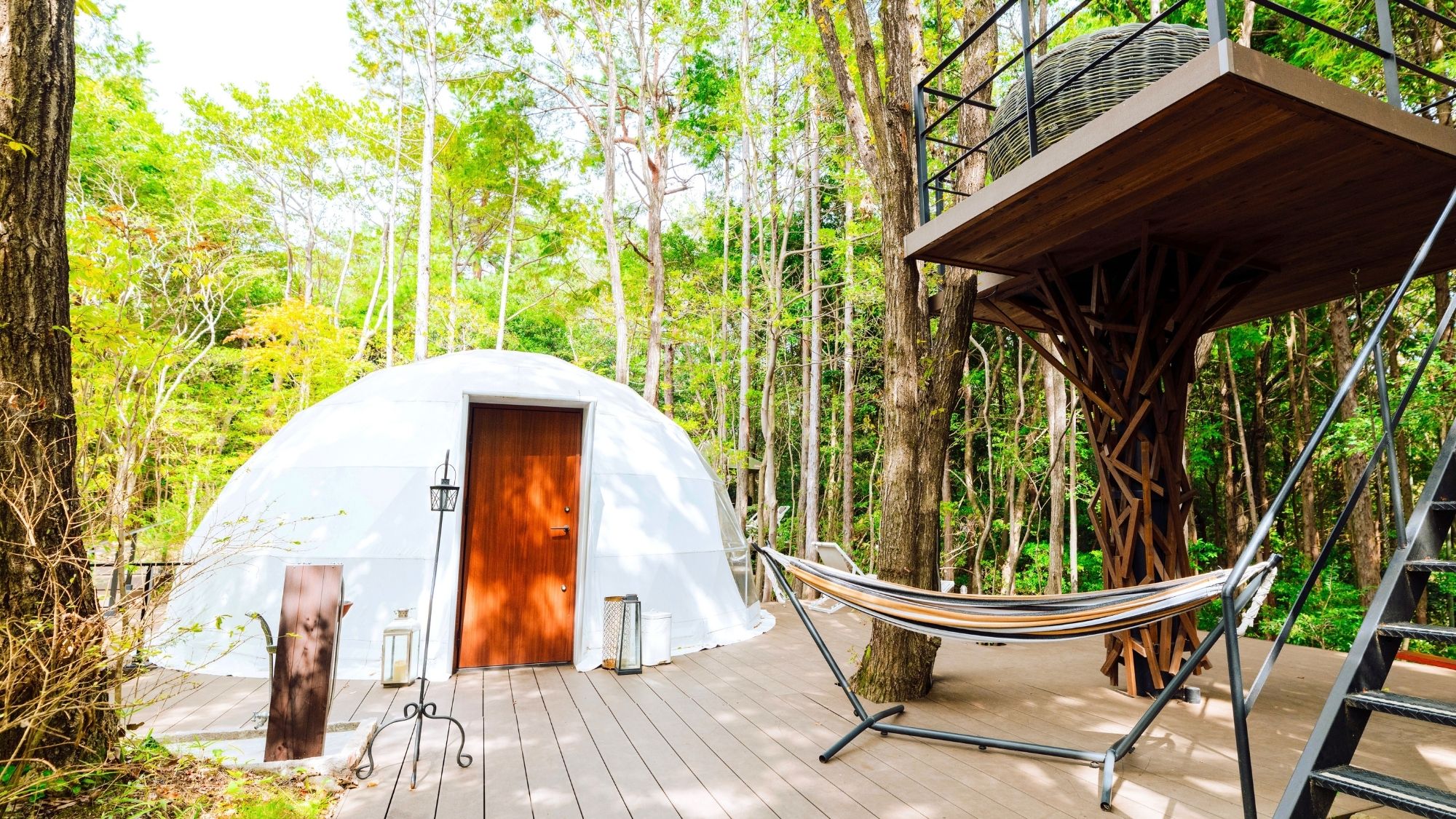 1日2組限定。ペットと宿泊可能なお部屋をご用意。愛犬と遊び尽くす夢のドームステイ。