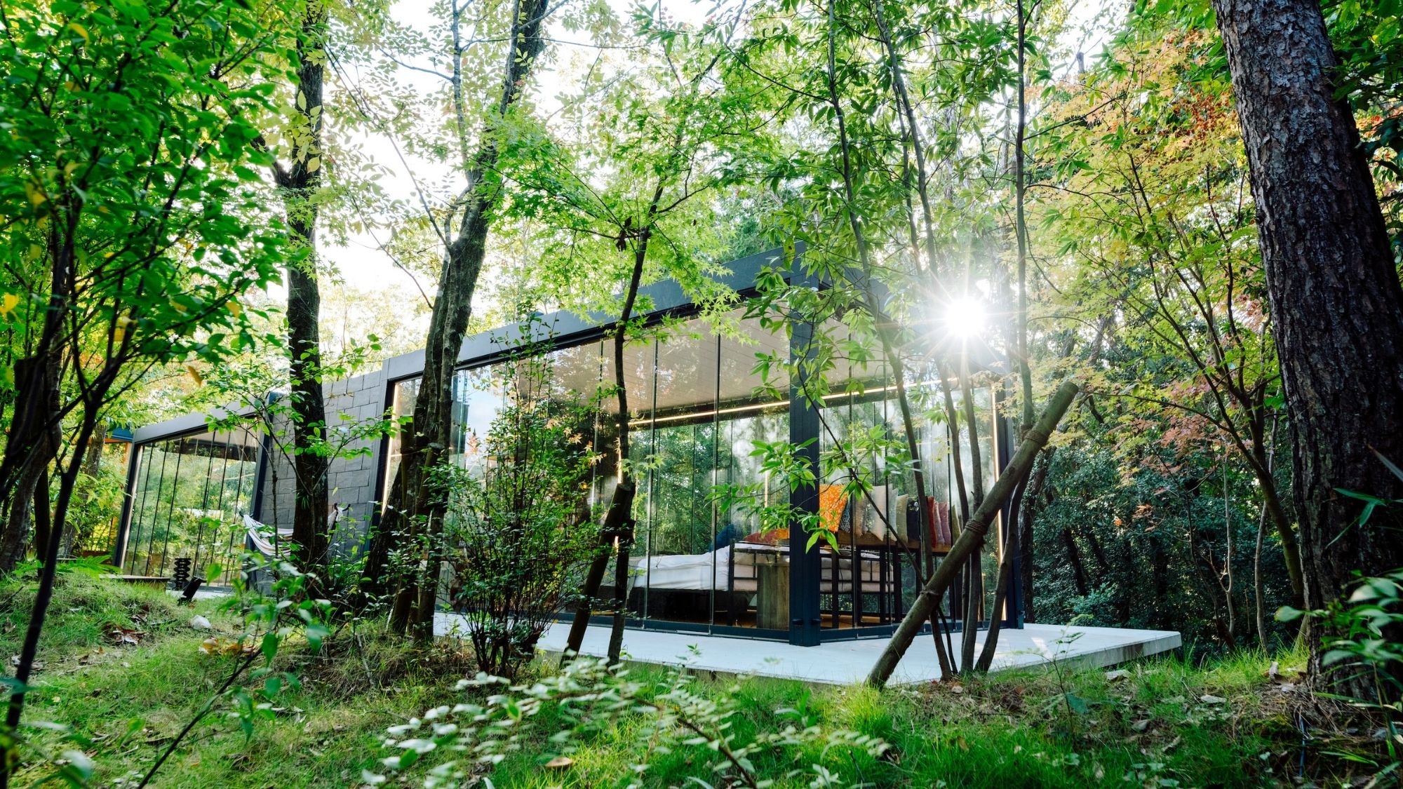 森に浮かぶ「光の箱」。四方ガラス張りの非日常空間で、自然と一体になれる特別なお部屋です。