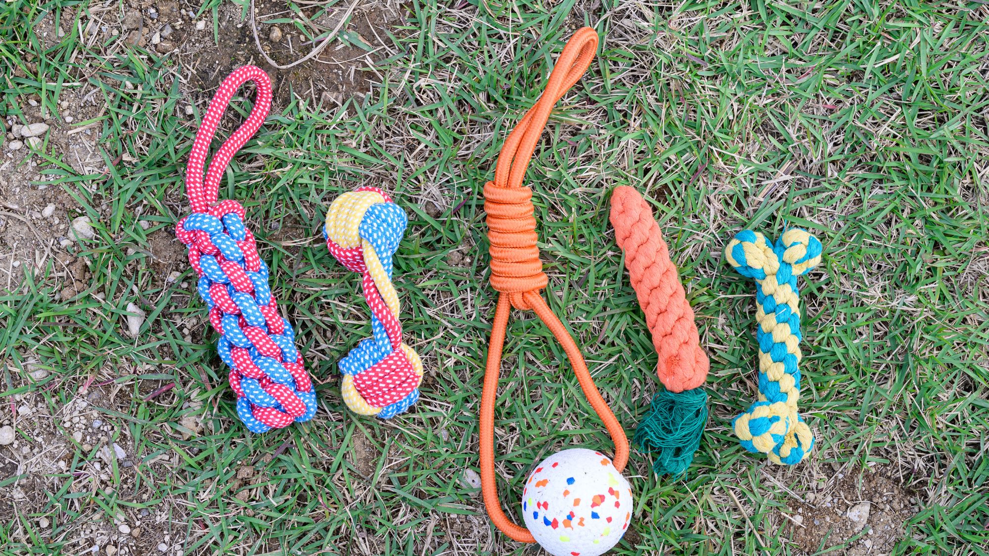 ワンちゃん用グッズ