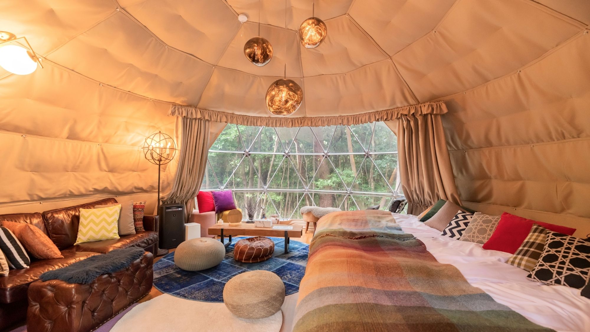 革張りのソファと温かな照明。愛犬と静かに時を過ごす、シックで大人な森の隠れ家。