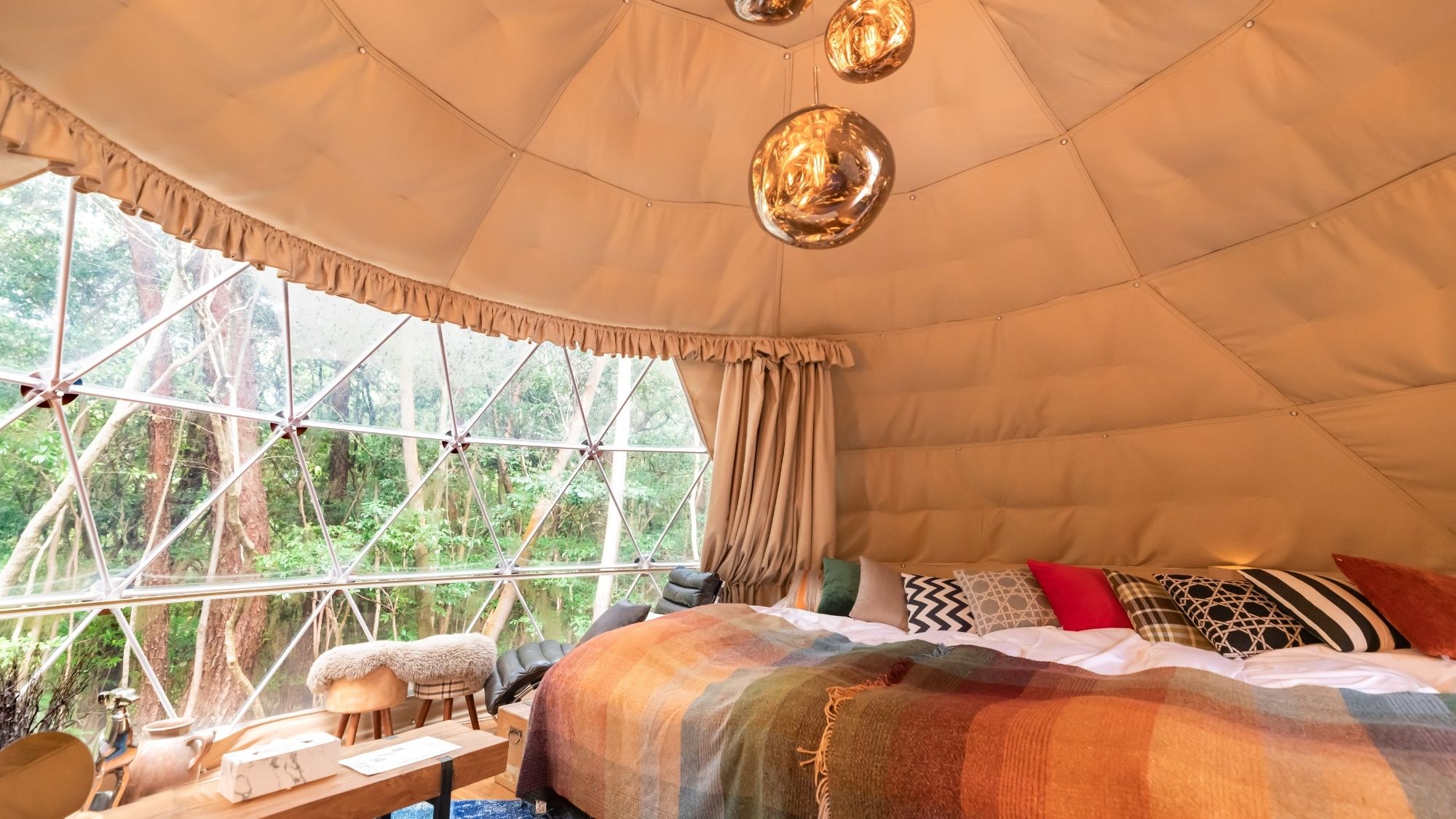 大きな窓いっぱいの緑。森の景色を絵画のように楽しみながら、愛犬と贅沢な休日を。