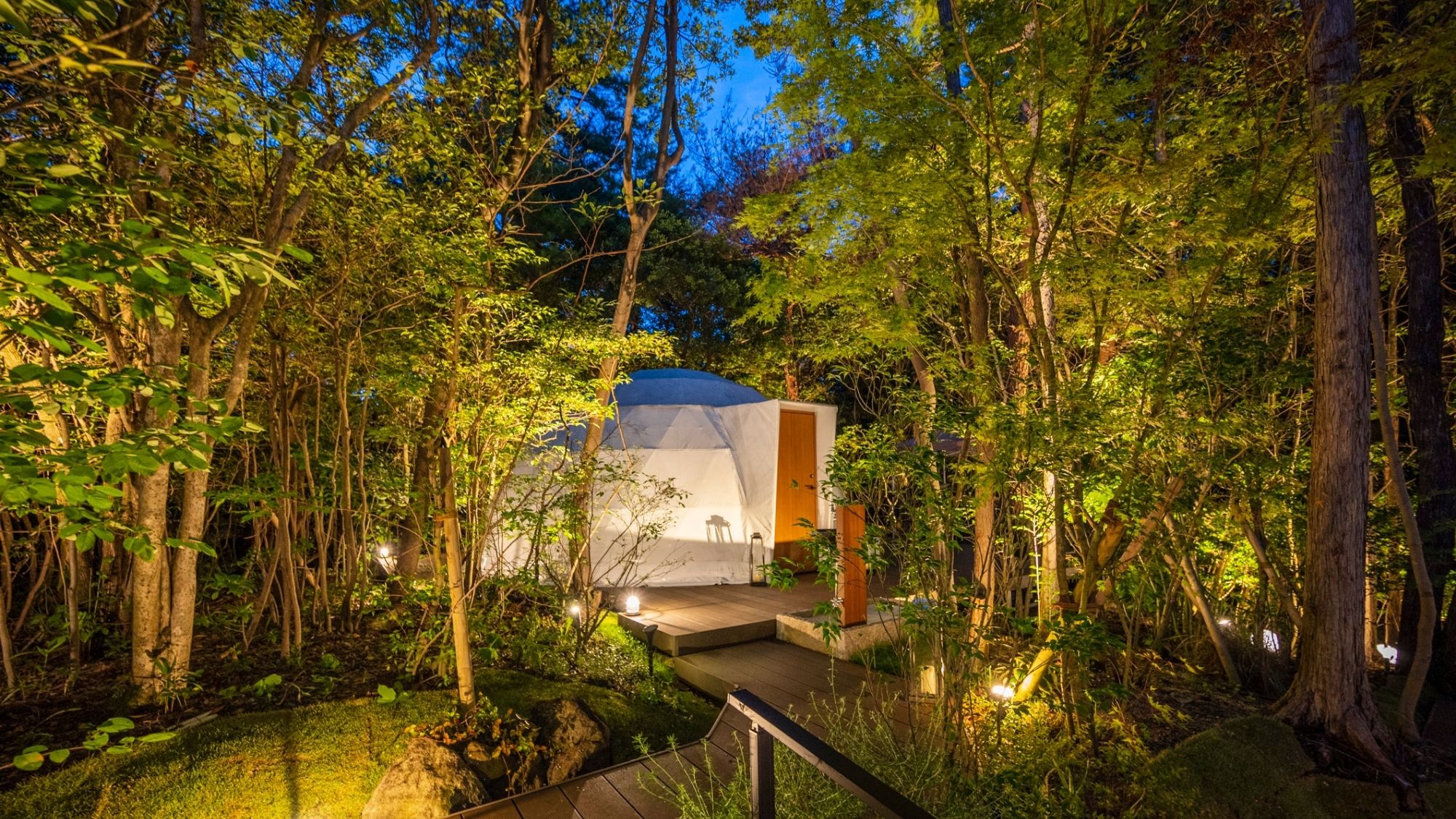 夜の森に浮かぶ温かな光。静寂に包まれたドームで、愛犬と寄り添う穏やかな夜。