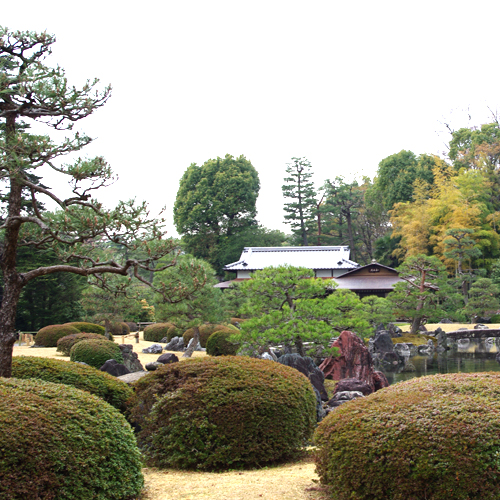 ◆京都観光◆二条城の庭園