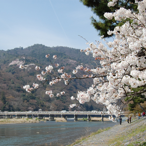 ◆京都観光◆嵐山ー春ー
