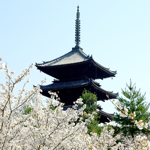 ◆京都観光◆仁和寺