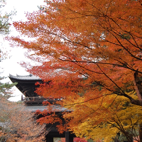 ◆京都観光◆南禅寺の紅葉