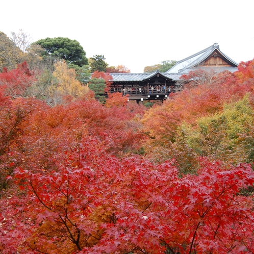 ◆京都観光◆東福寺の紅葉