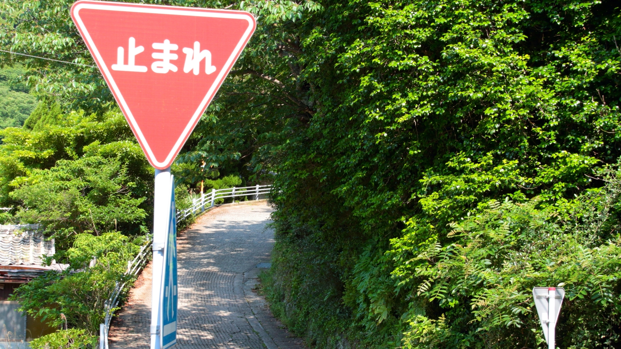 ホテル周辺の景観