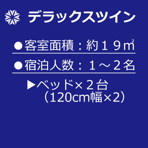 【デラックスツインご案内】19平米＜120cm幅ベッド2台＞