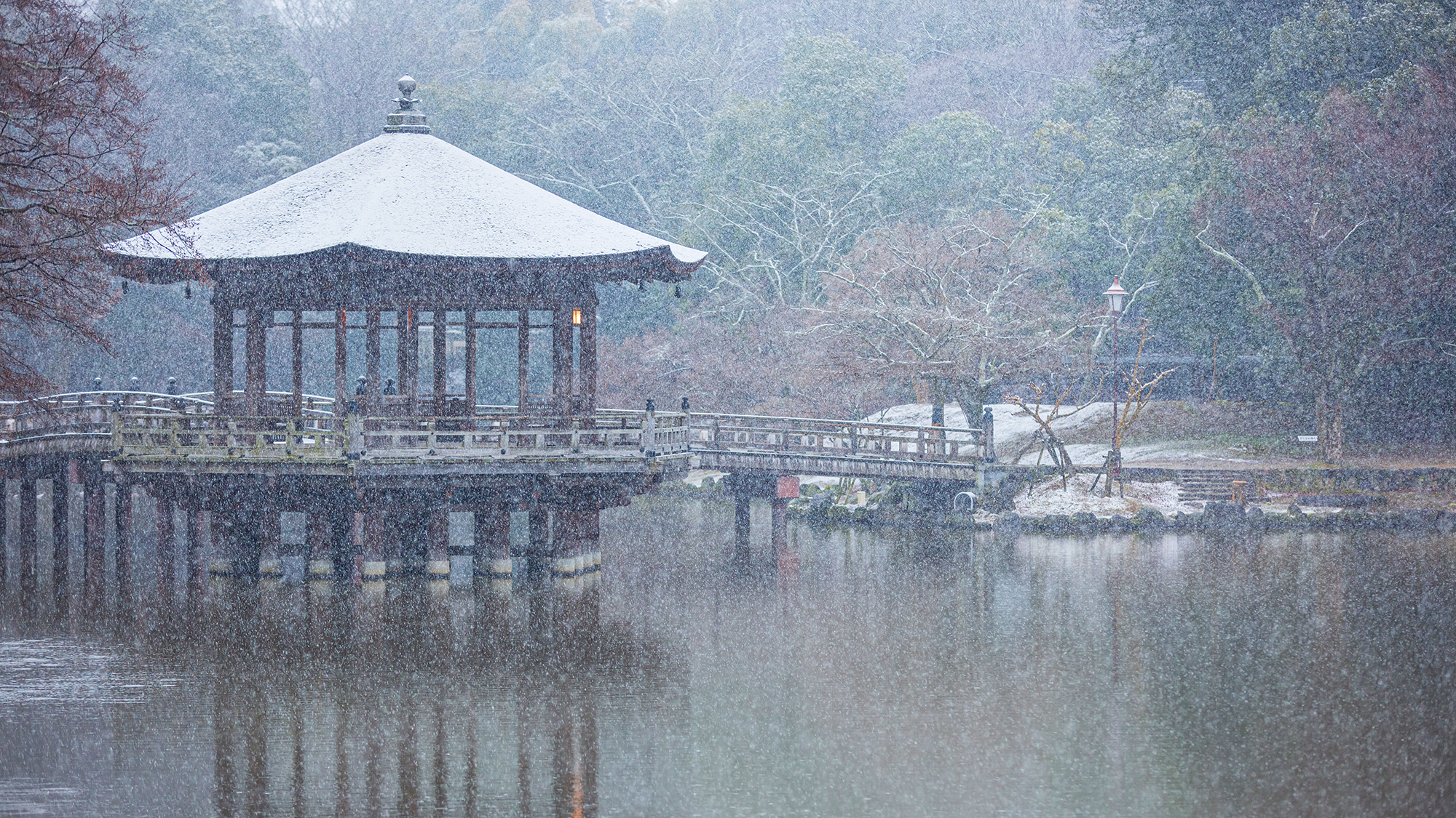 【奈良公園浮見堂】※冬のイメージ
