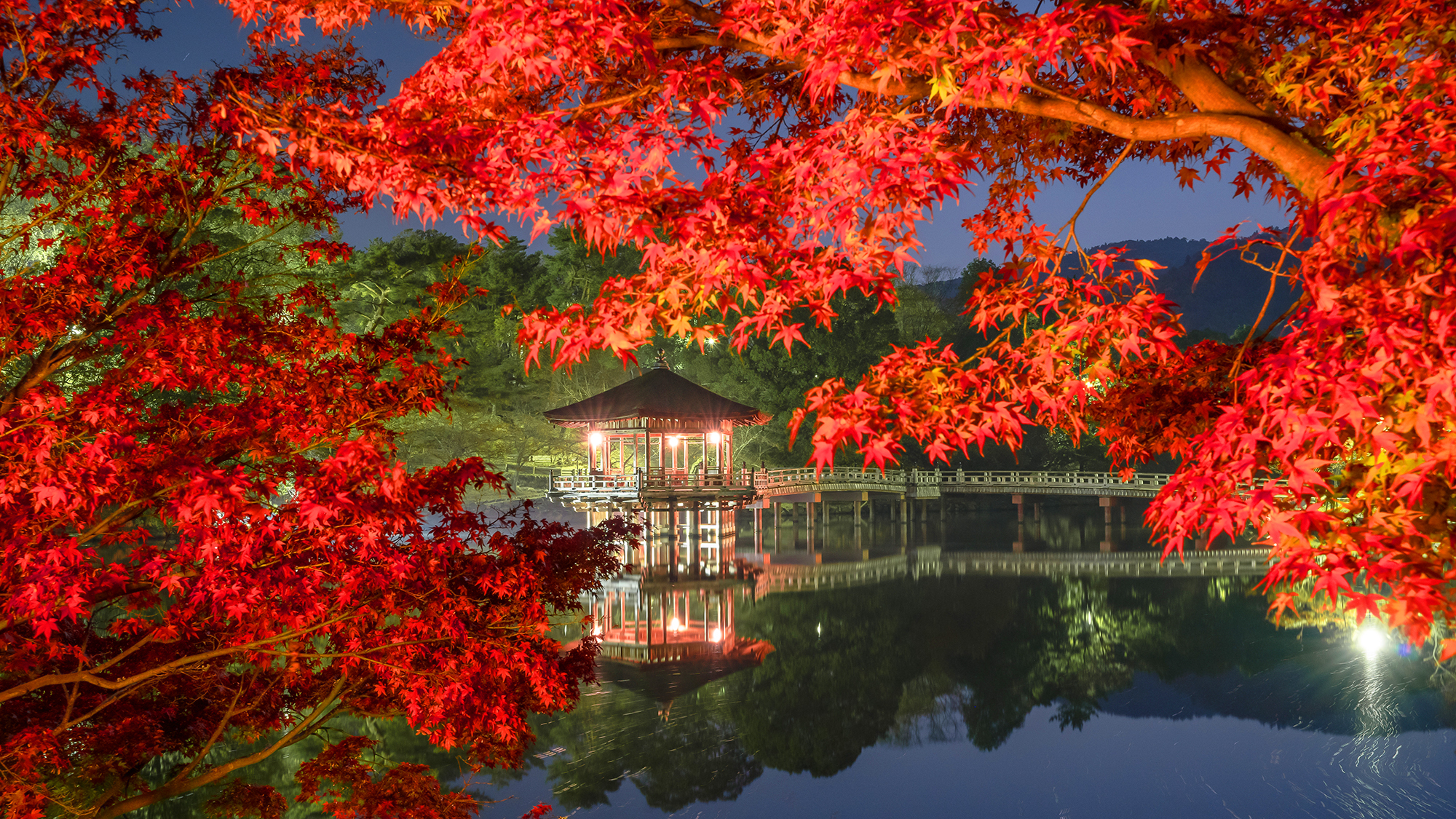 【奈良公園浮見堂】奈良観光に便利な立地です。※イメージ
