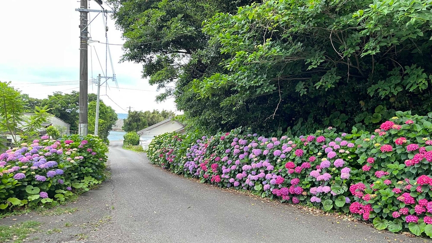 海へと続く道