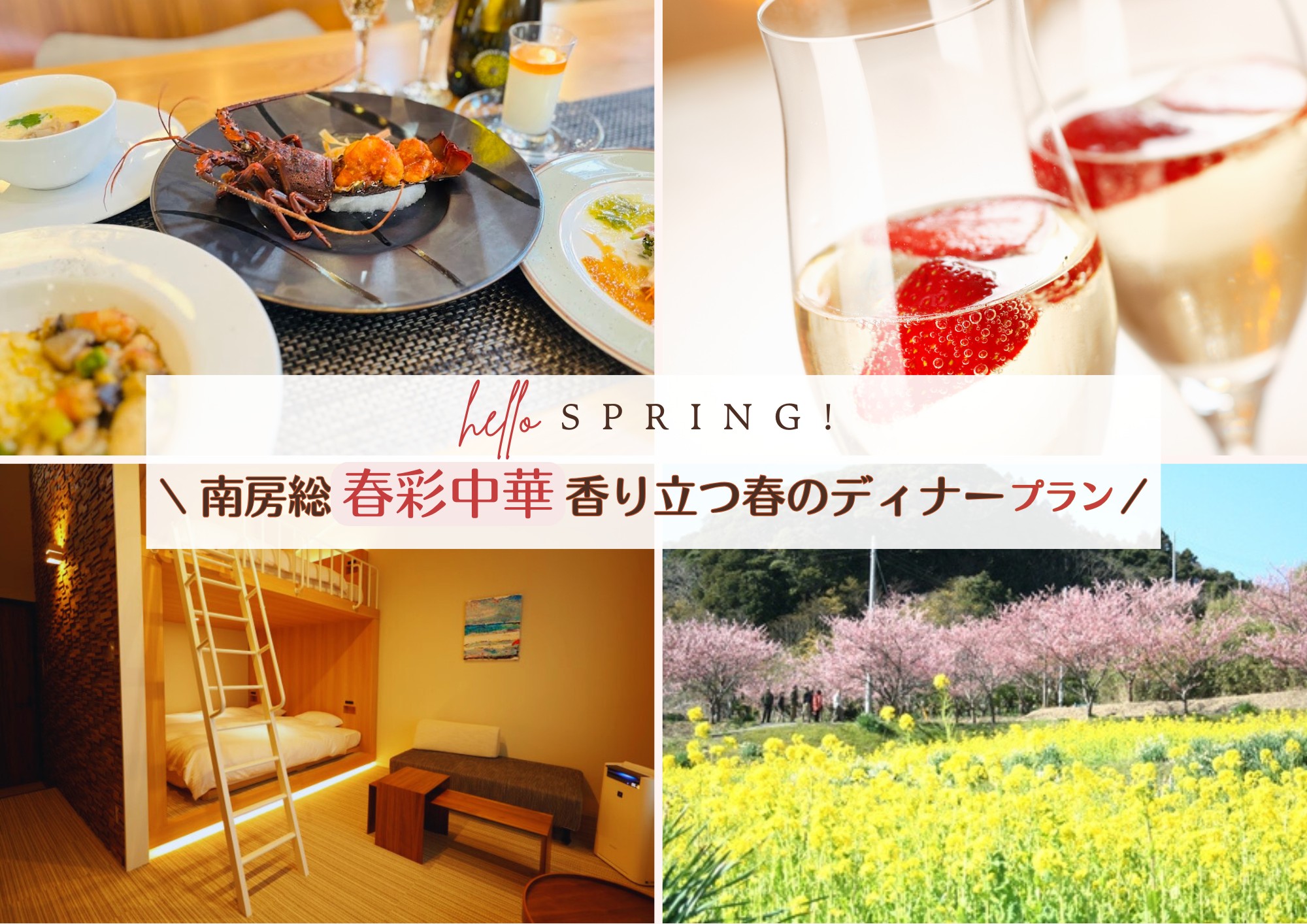 春彩中華プラン