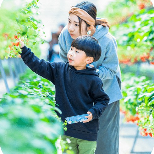いちご狩り