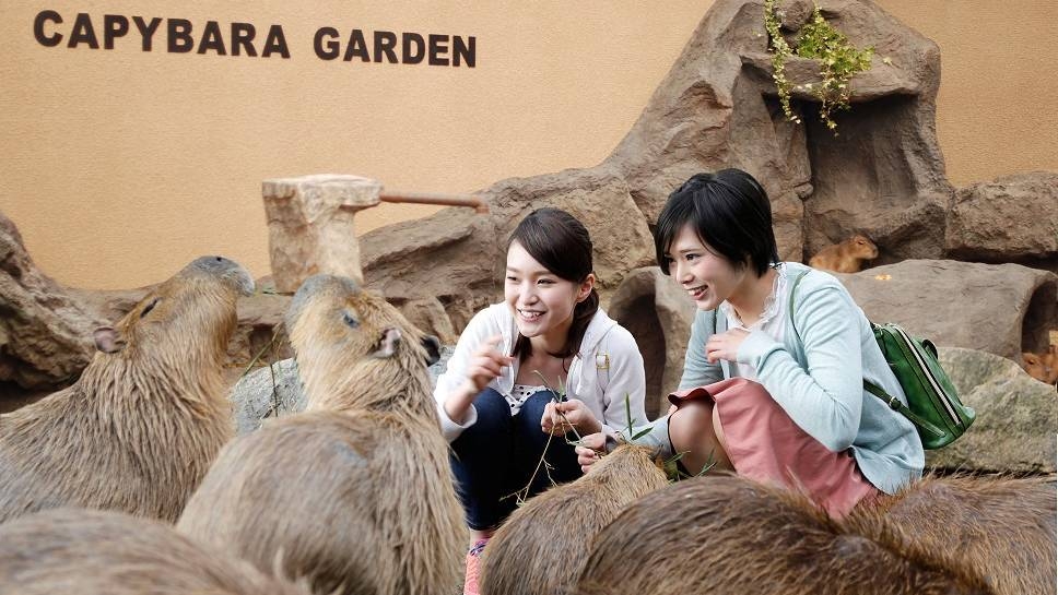 【とってもお得！】遊んで泊まる！姫路セントラルパーク入場券セットプラン ＜素泊まり＞