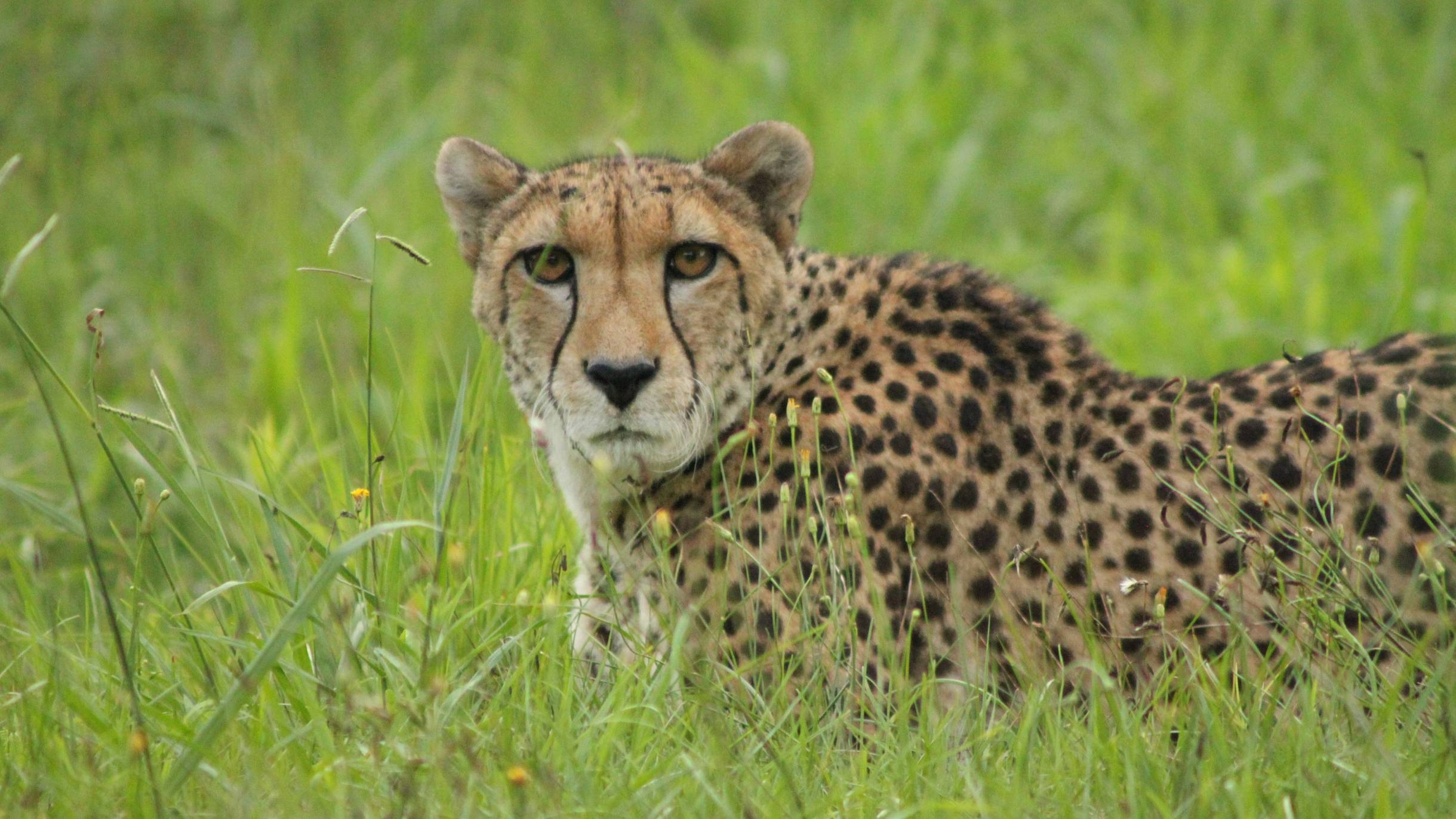 【とってもお得！】遊んで泊まる！姫路セントラルパーク入場券セットプラン ＜素泊まり＞