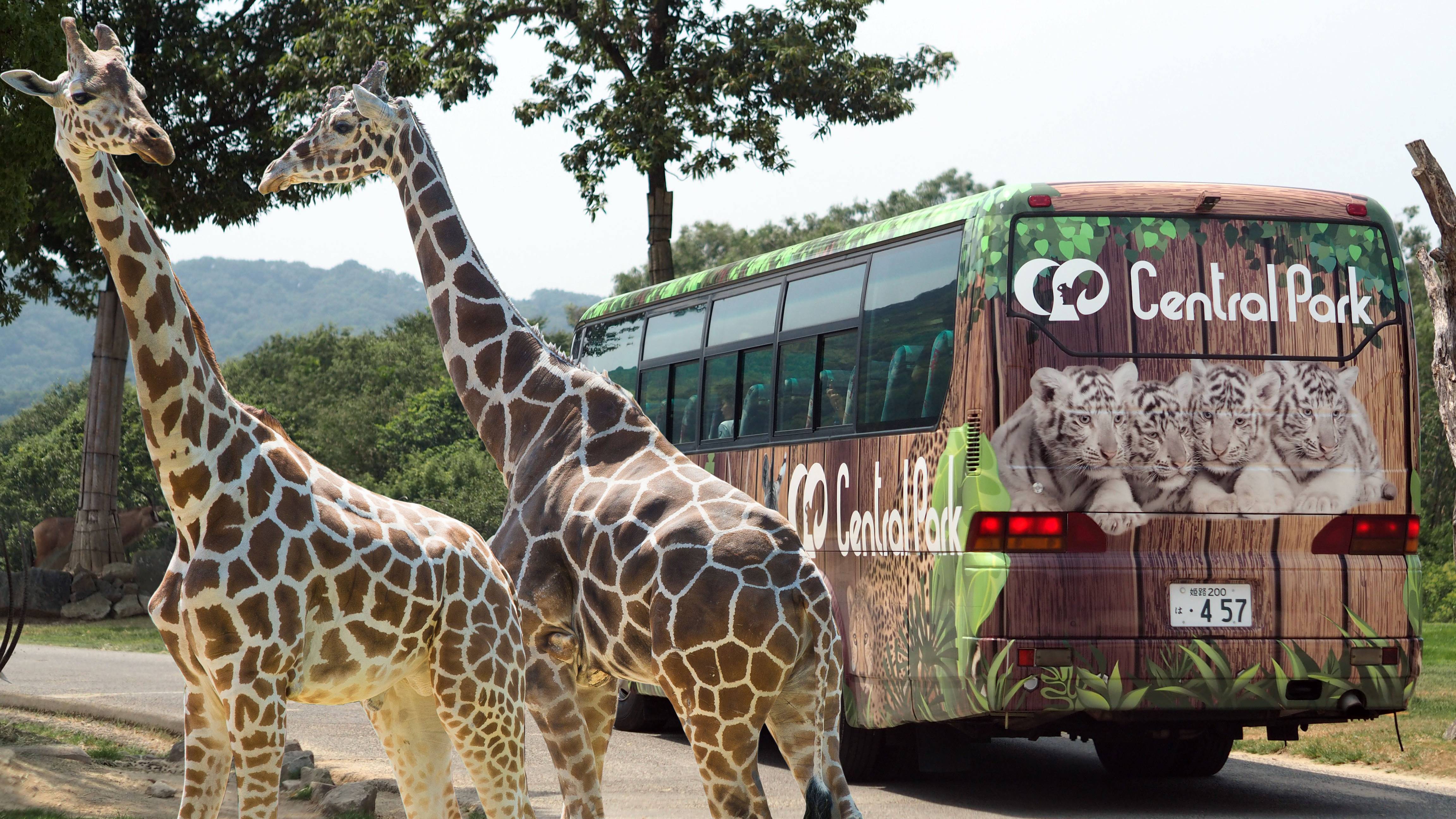 姫路セントラルパーク イメージ⑤