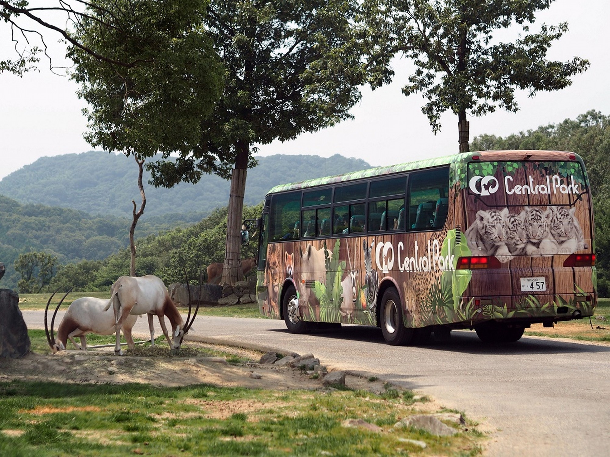 姫路セントラルパーク イメージ④