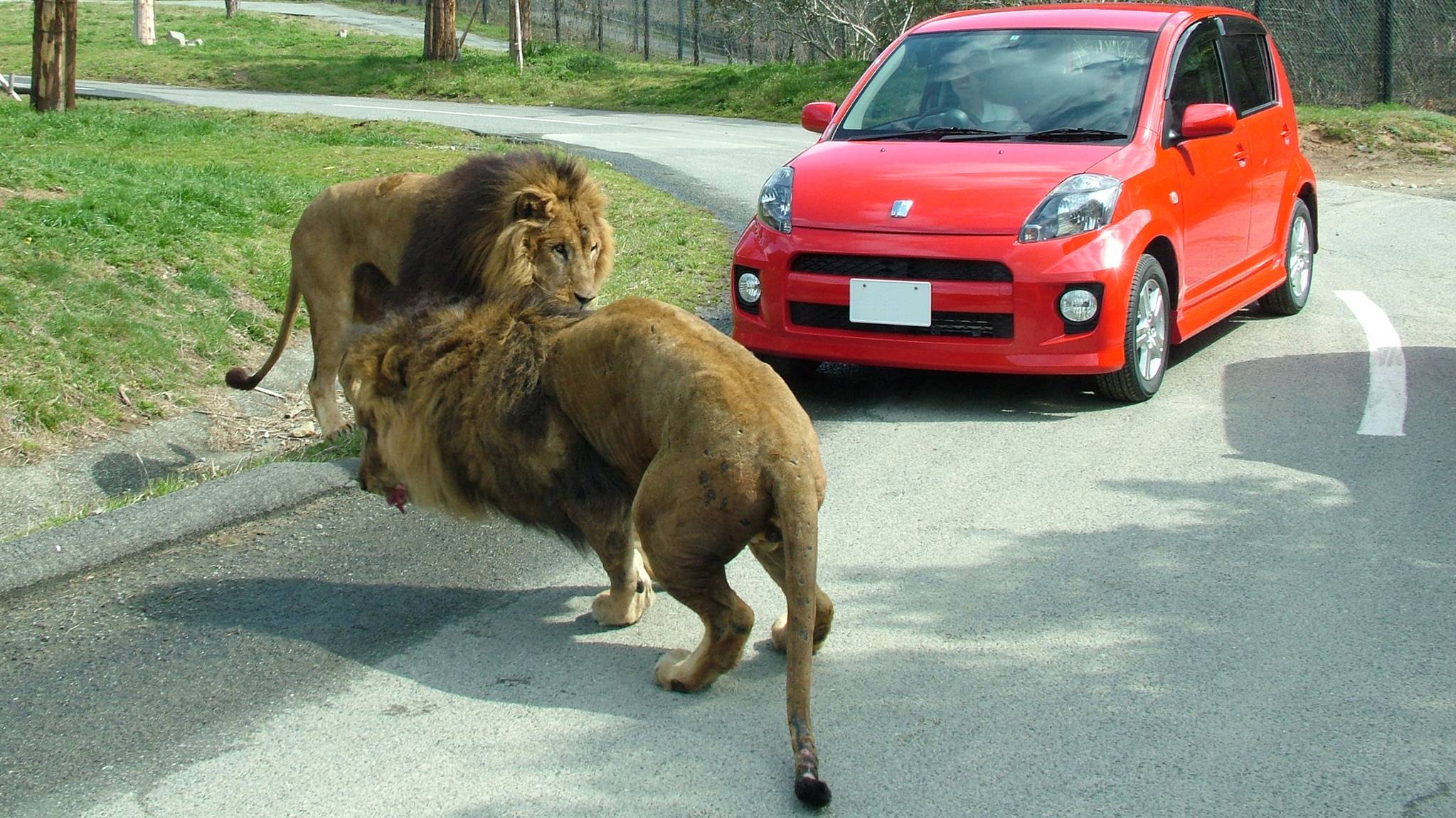 姫路セントラルパーク イメージ⑦