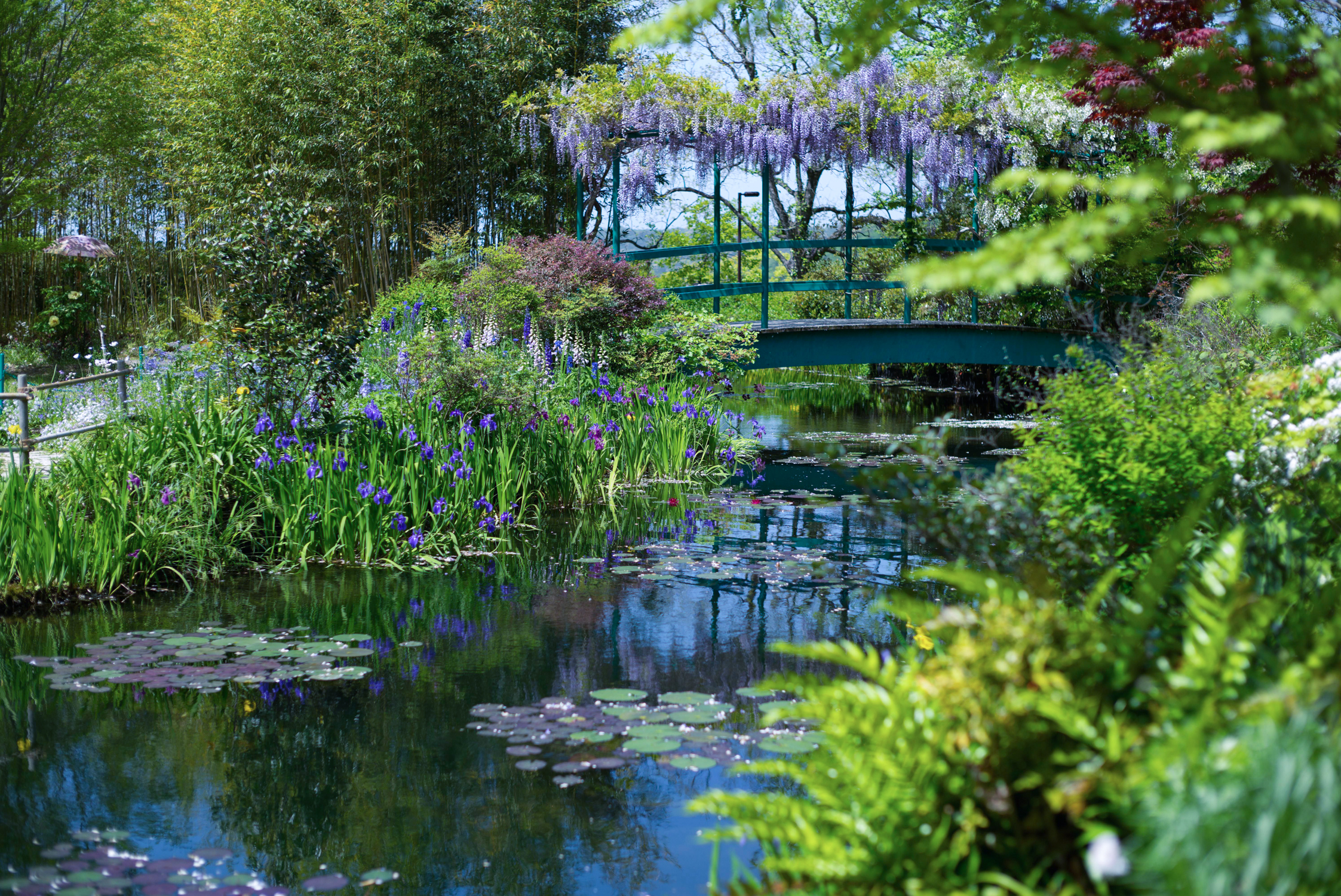 周辺アクティビティ：北川村「モネの庭」マルモッタン