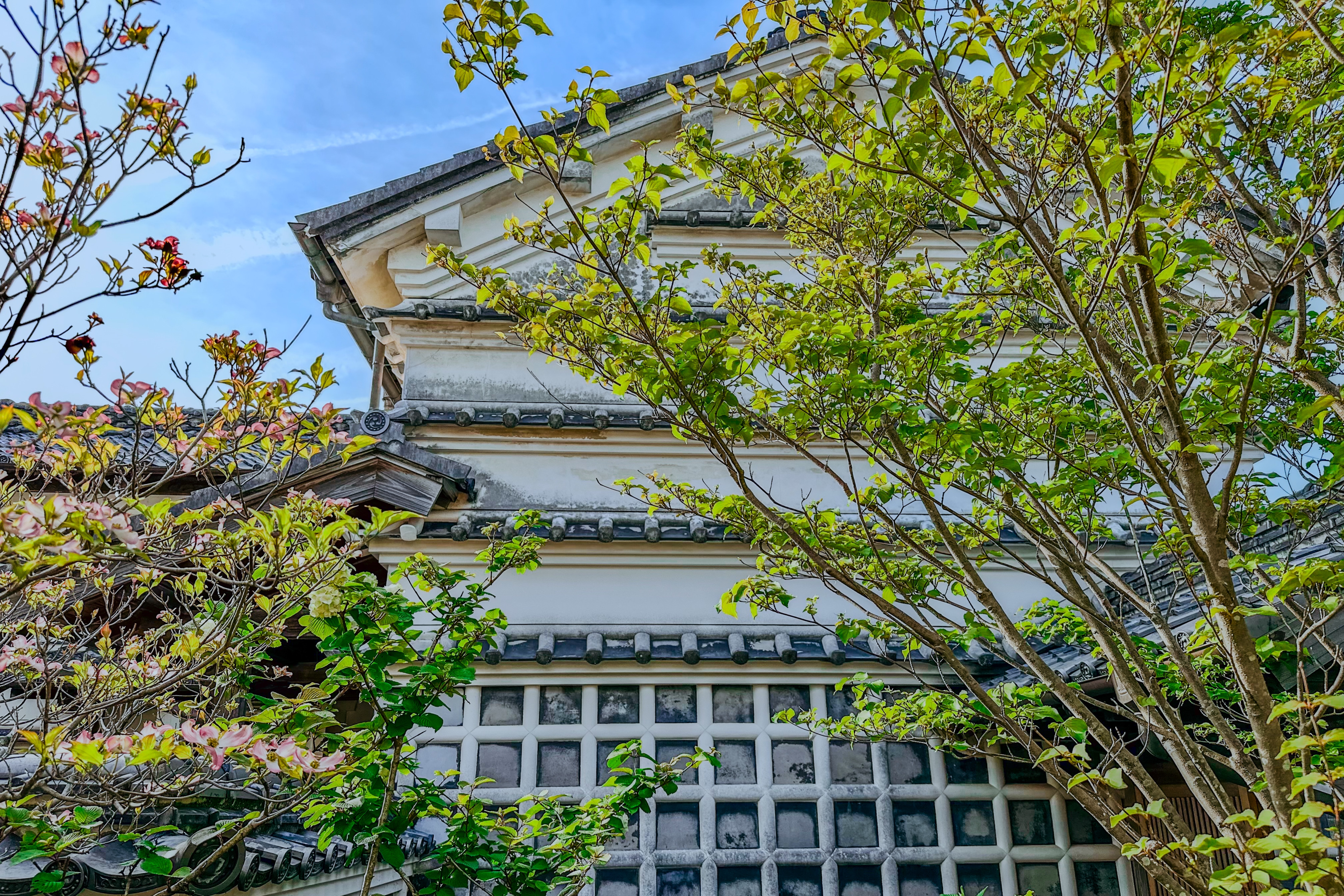 水切り瓦やなまこ壁が特徴的な高知特有の蔵