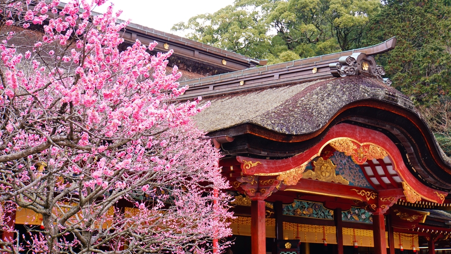 【周辺・太宰府天満宮】には約200種、約6,000本の白梅・紅梅があり、日本有数の梅の名所。