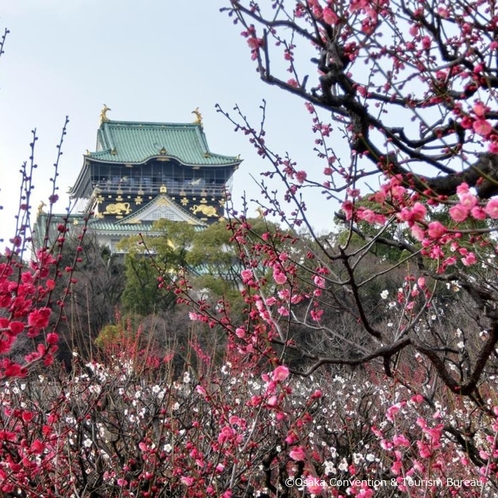 大阪城公園イメージ