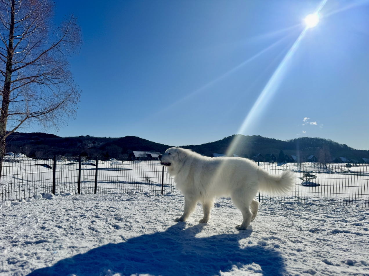 【訳ありプラン】大浴場・レストランクローズ【★お部屋食2食付き★】ゆっくりおこもりプラン