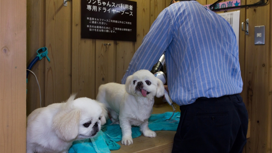 【羽鳥湖温泉ワンちゃんスパ】