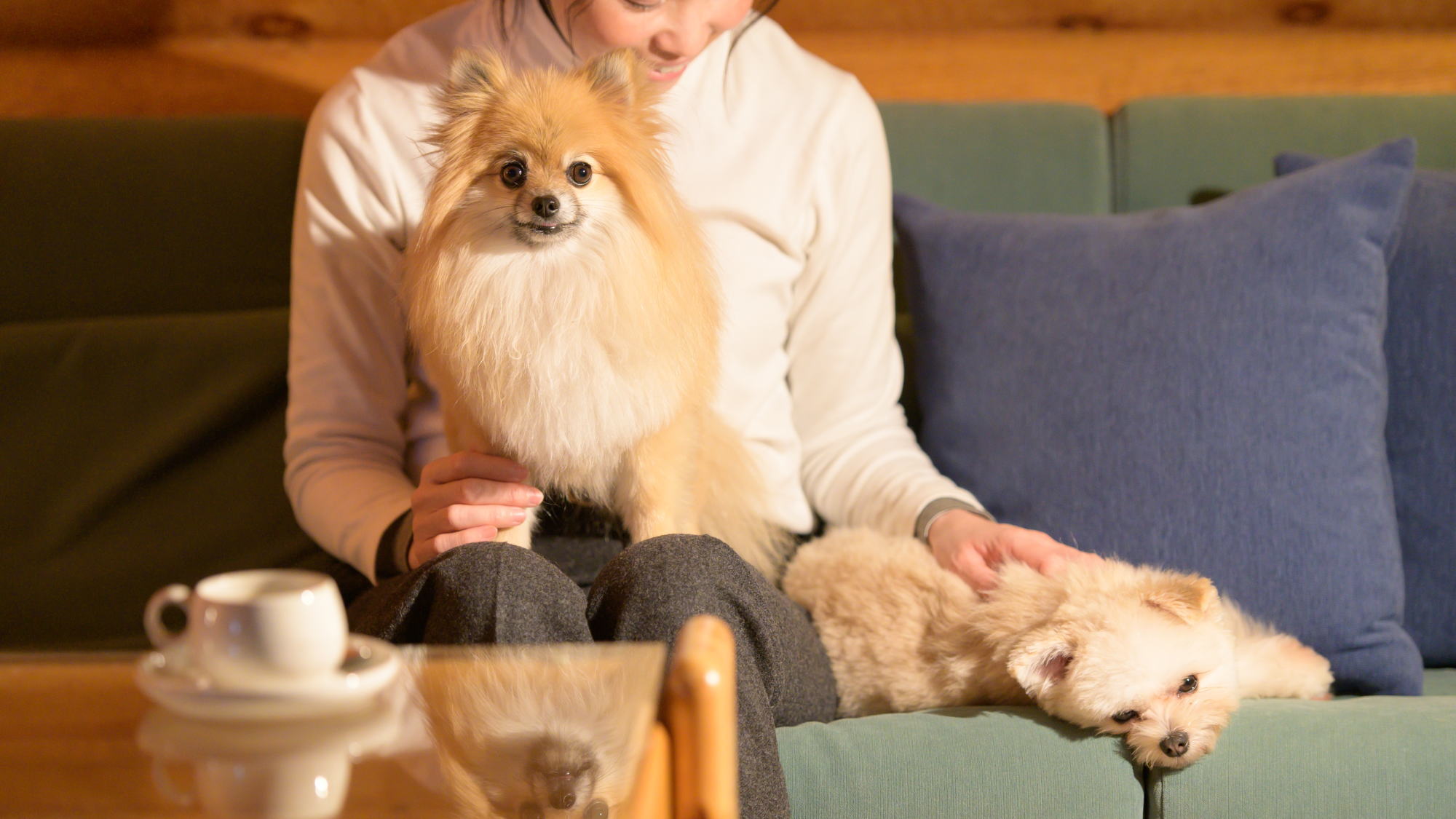 【愛犬同伴専用コテージ】滞在イメージ
