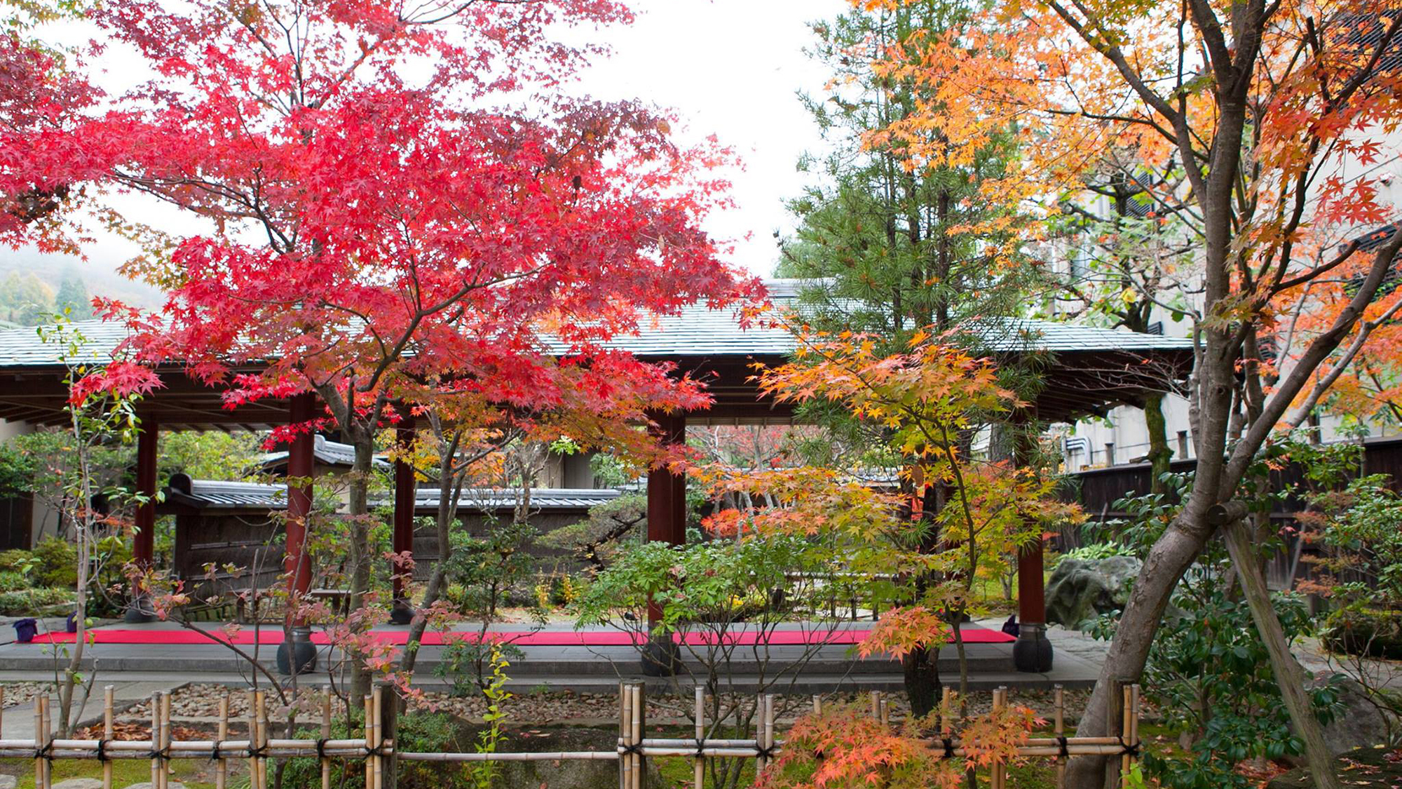 紅葉 例年11月上旬が見頃となっております