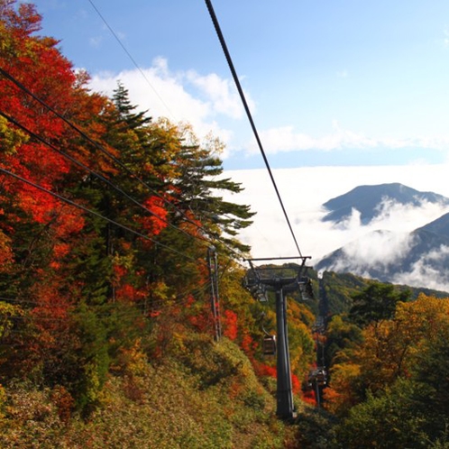 ＜ヘブンスそのはら＞　秋の紅葉と雲海