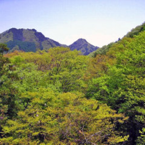 *渓谷沿いの客室からの眺め一例