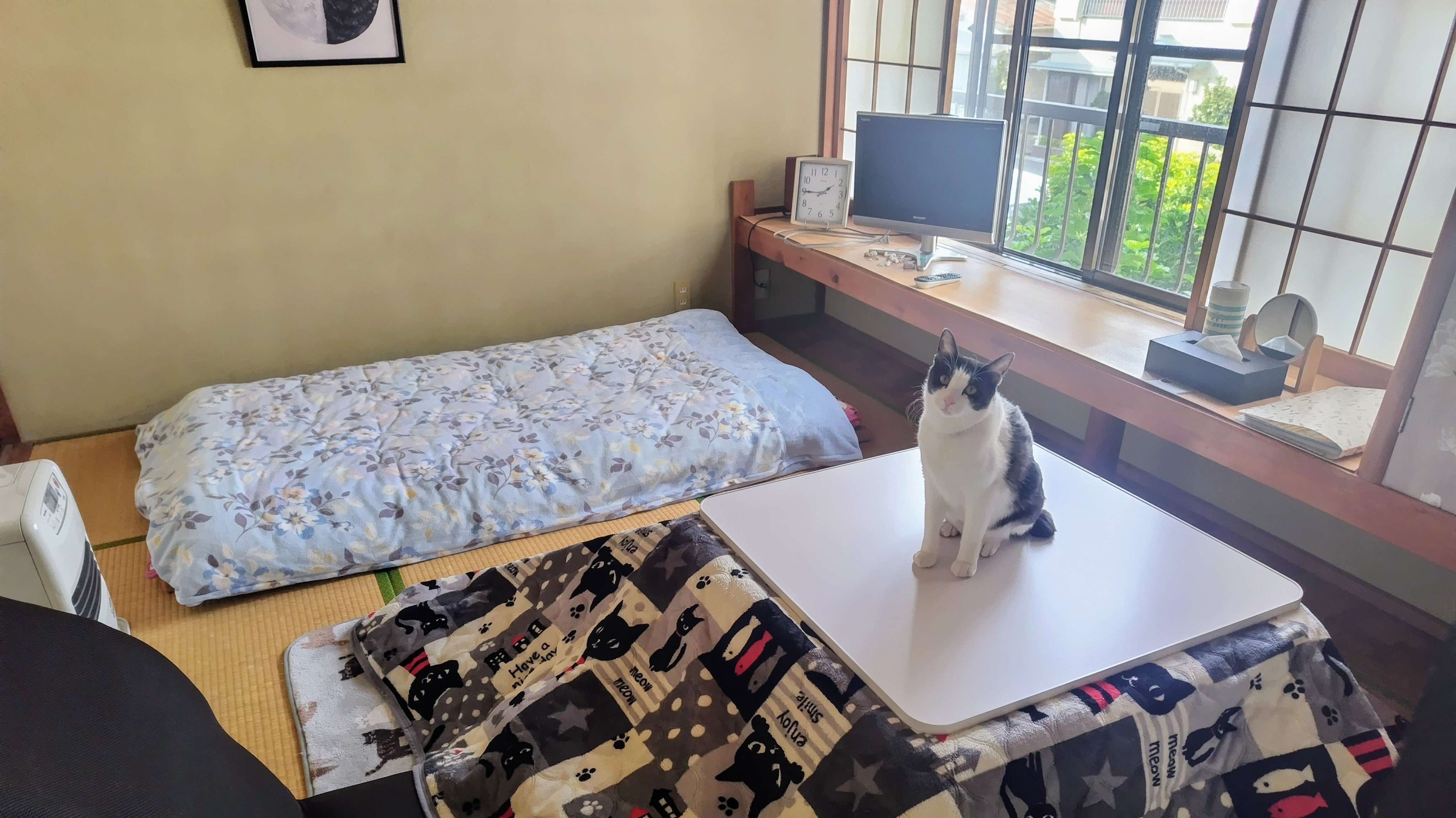 六畳おひとり部屋