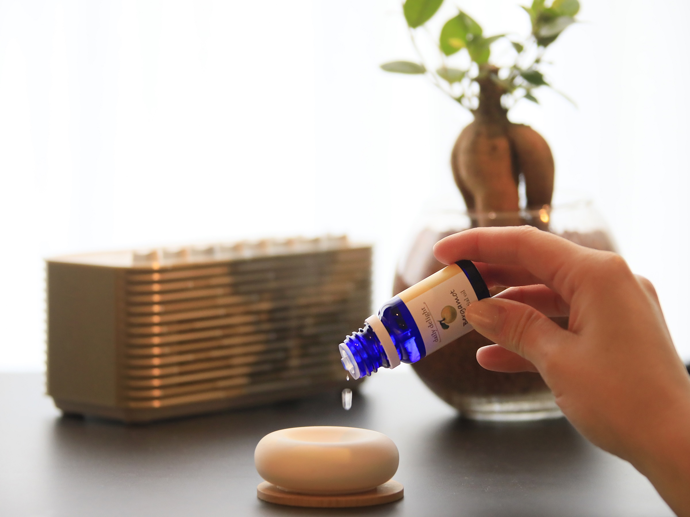 【アロマストーン＆スピーカー＆ガジュマル】