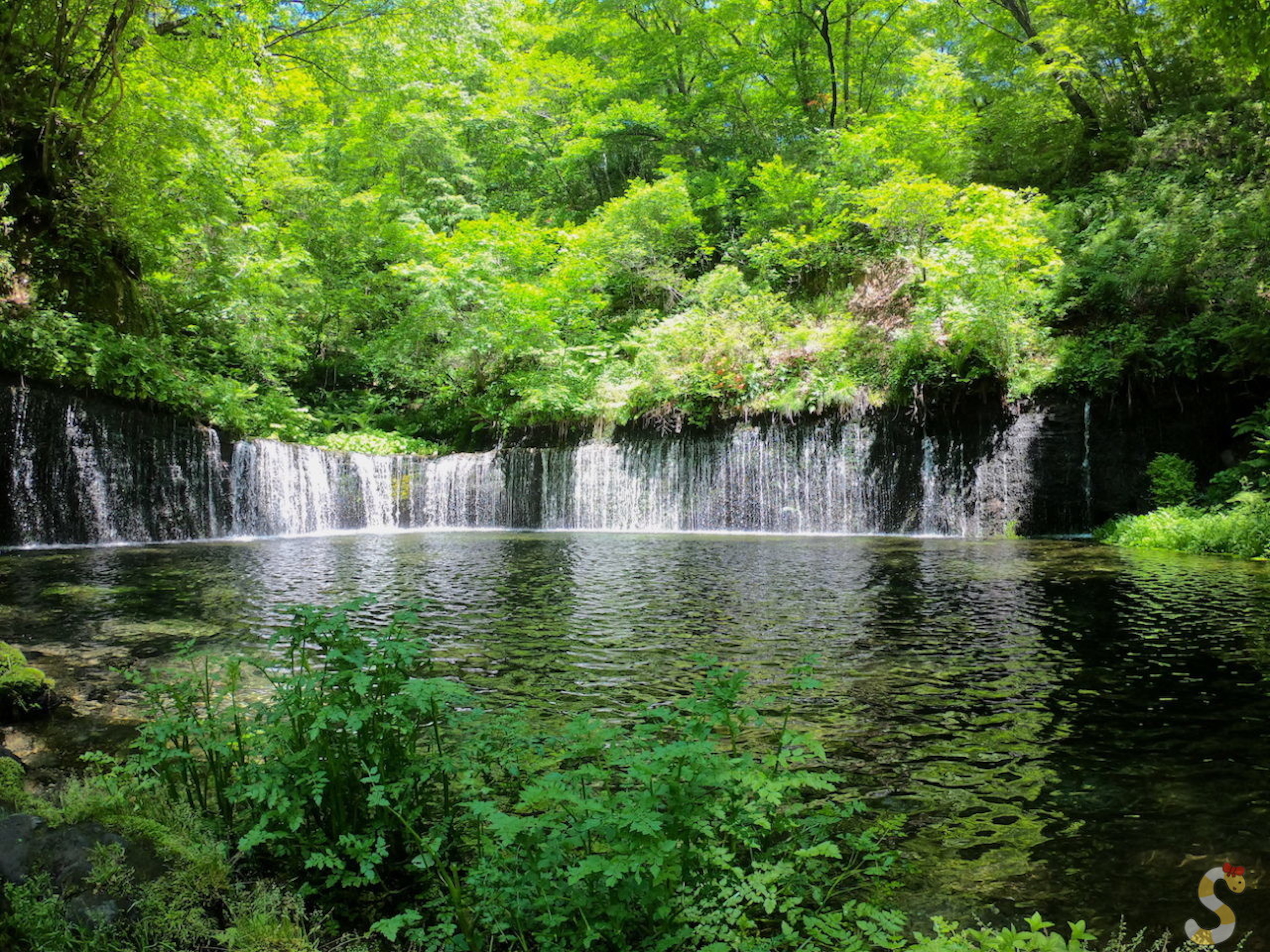 白糸の滝